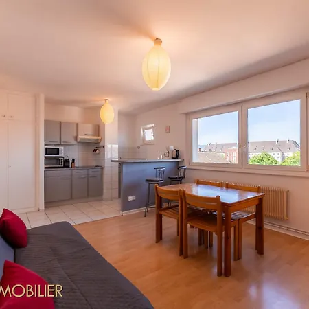 Appartement L'Orient - Parking Colmar Buitenkant foto